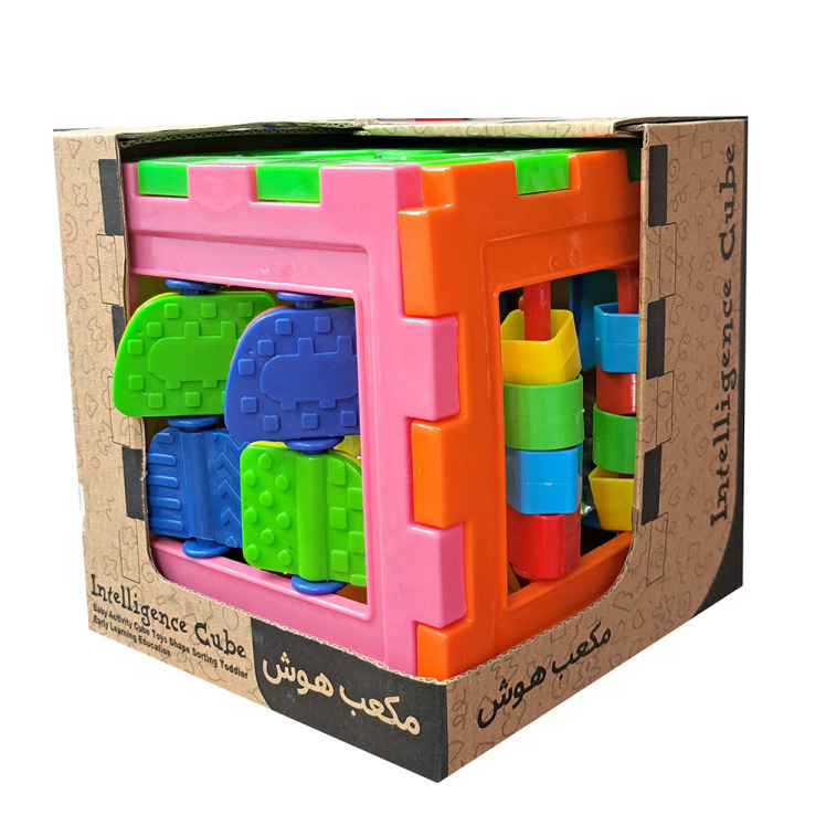 مکعب هوش پاپارو 